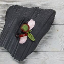 Блюдо черное прямоугольное Matsuyama 26*19 см, P.L. Proff Cuisine фото, купить в Липецке | Uliss Trade