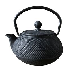 Чайник с ситом,чугунный,600 мл,  P.L.-ProffCuisine фото, купить в Липецке | Uliss Trade