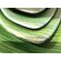 Блюдо поднос меламиновый 27.6*16.7см  h=5.3см  P.L Green Banana Leaf фото, купить в Липецке | Uliss Trade